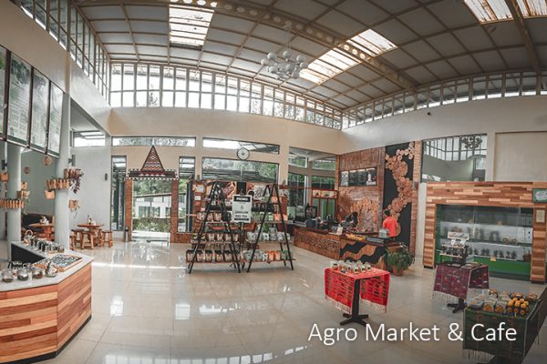 AGRO MARKET _ CAFE (3)