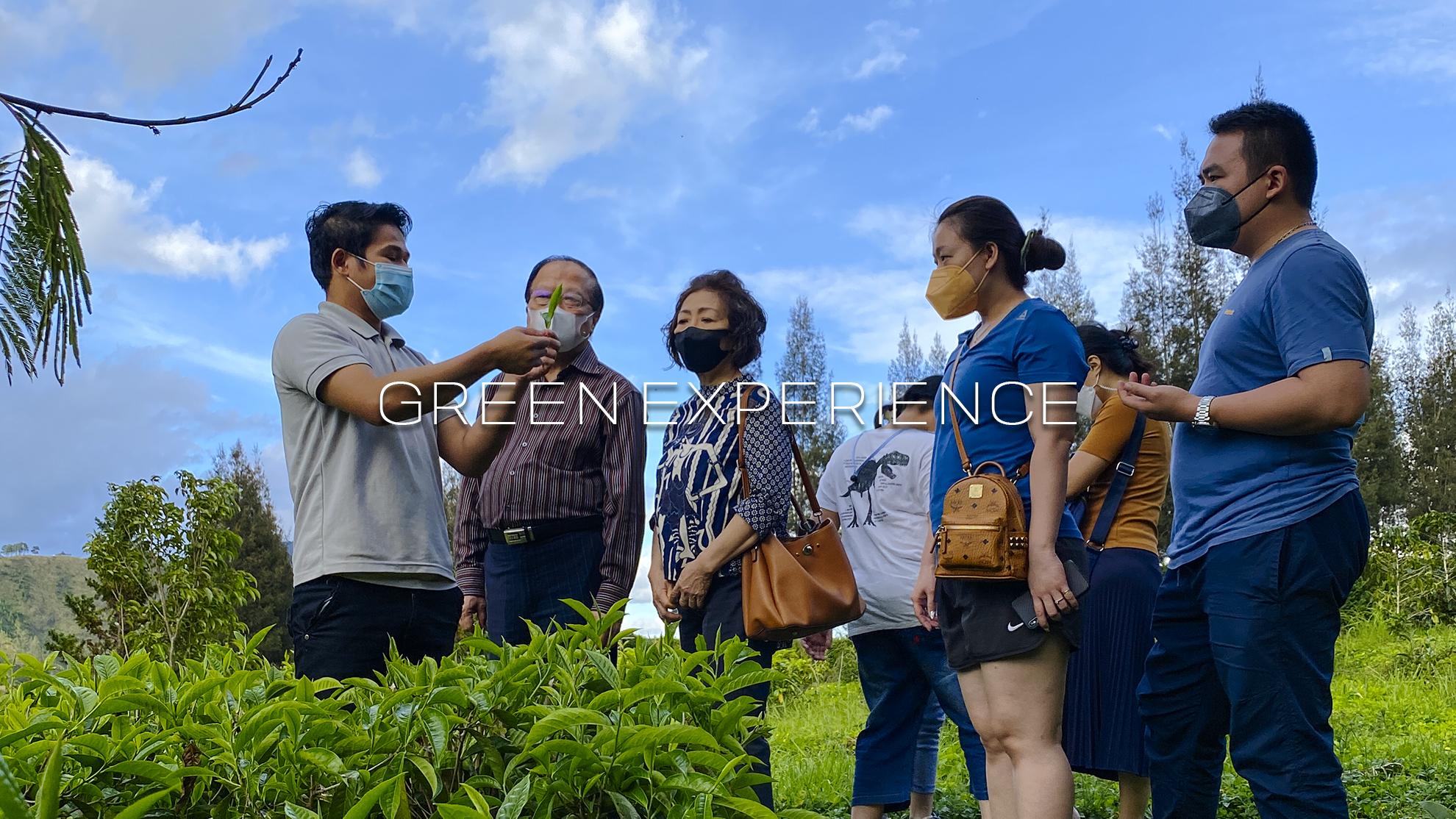 GREEN EXPERIENCE