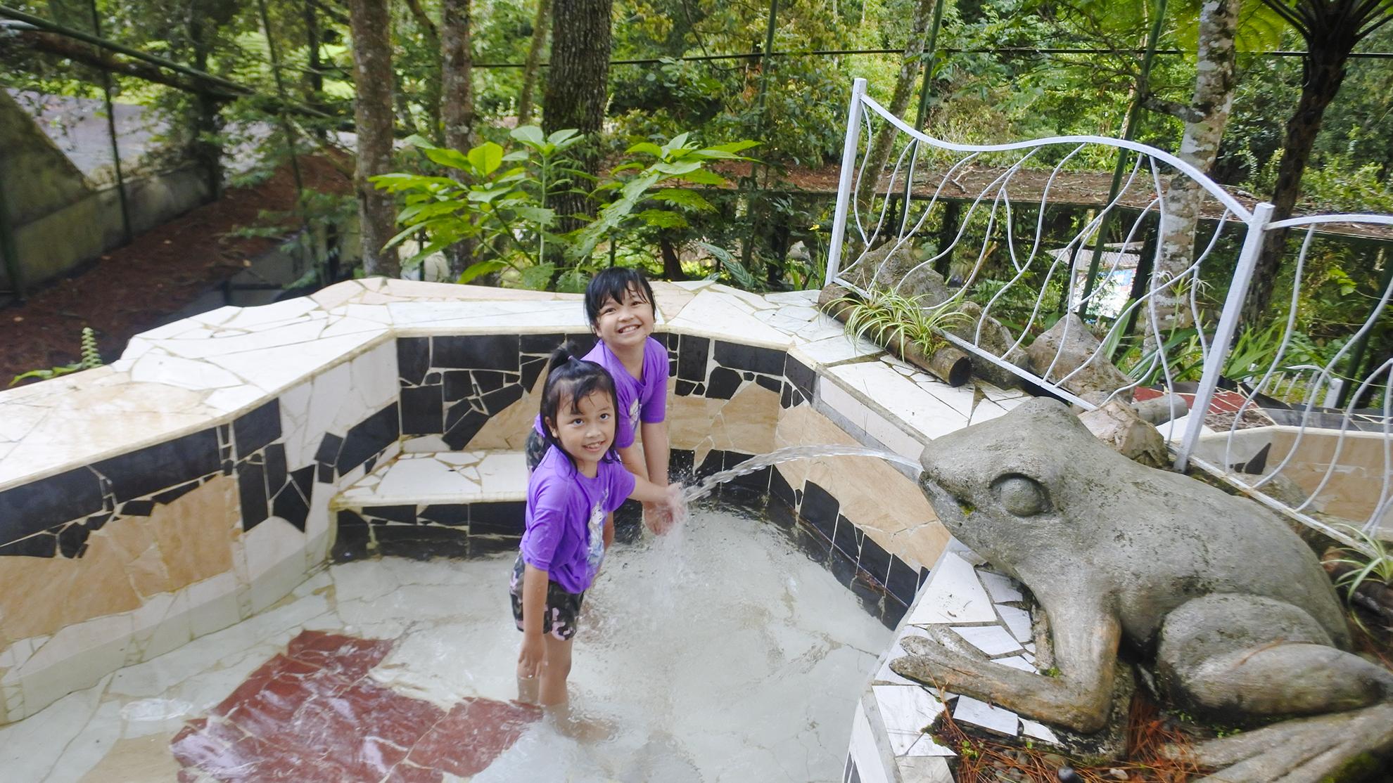 KIDS DIPPING POOL