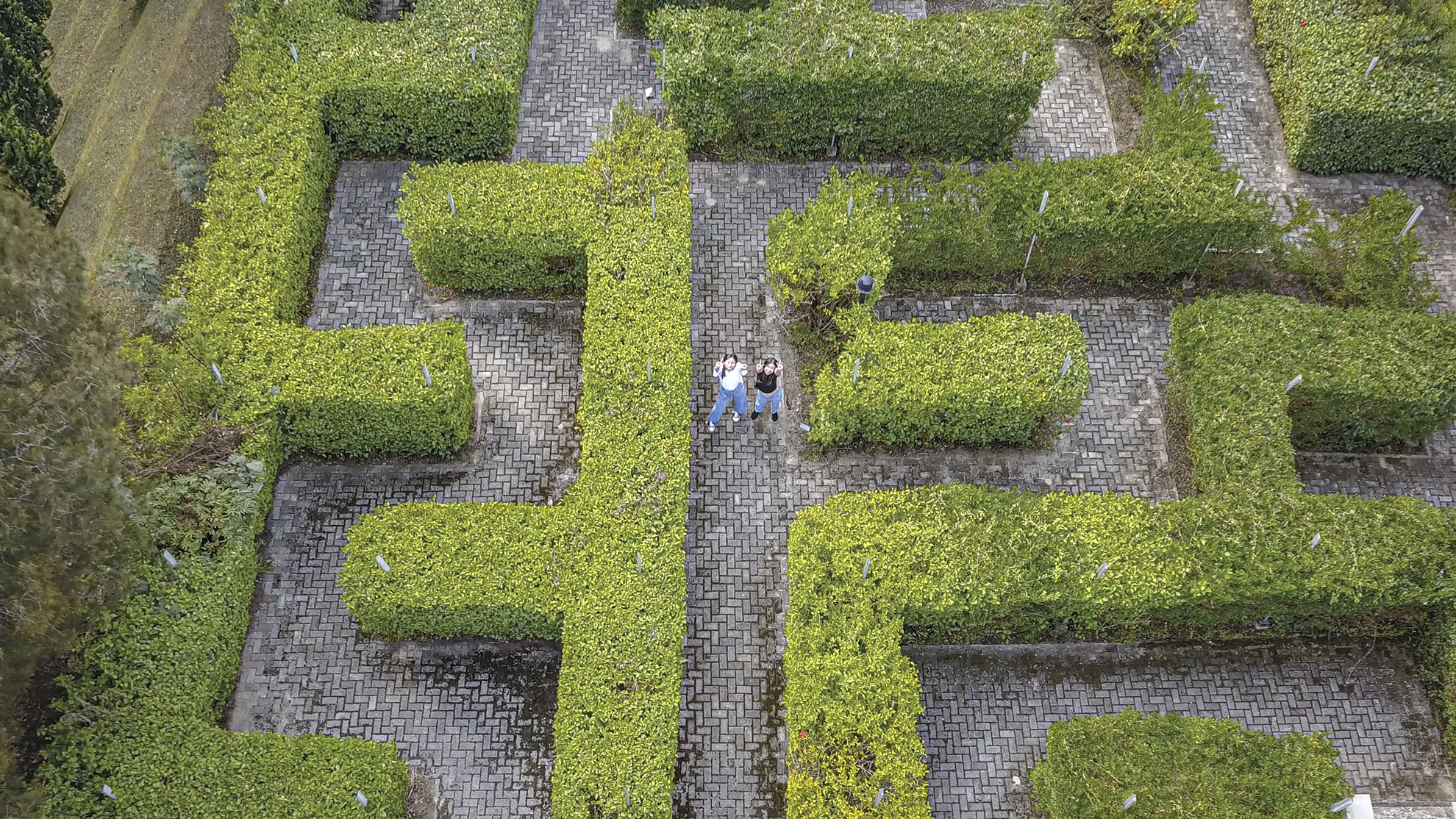 LABYRINTH
