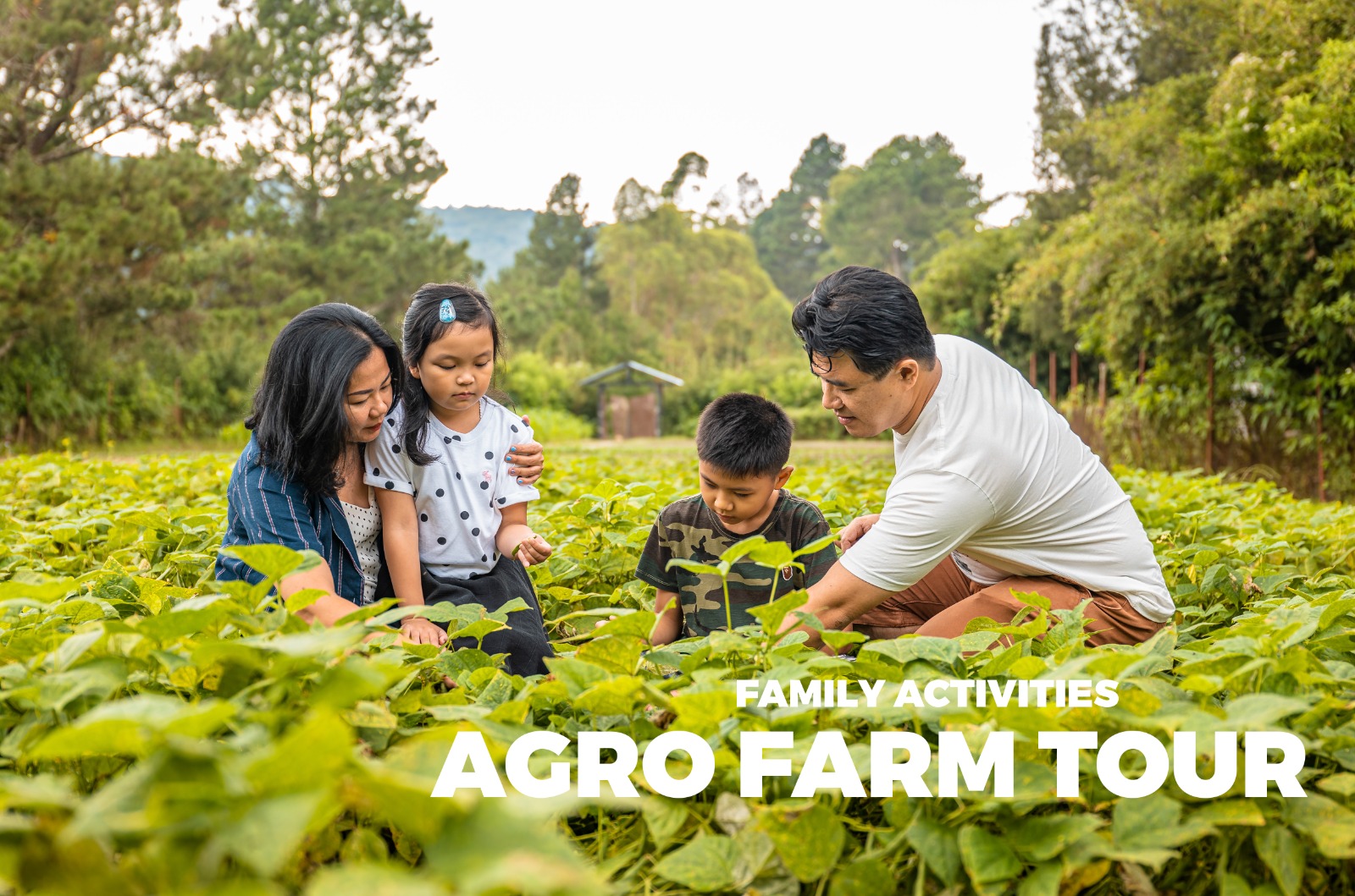 WhatsApp Image 2024-01-05 at 13.16.39 (2)