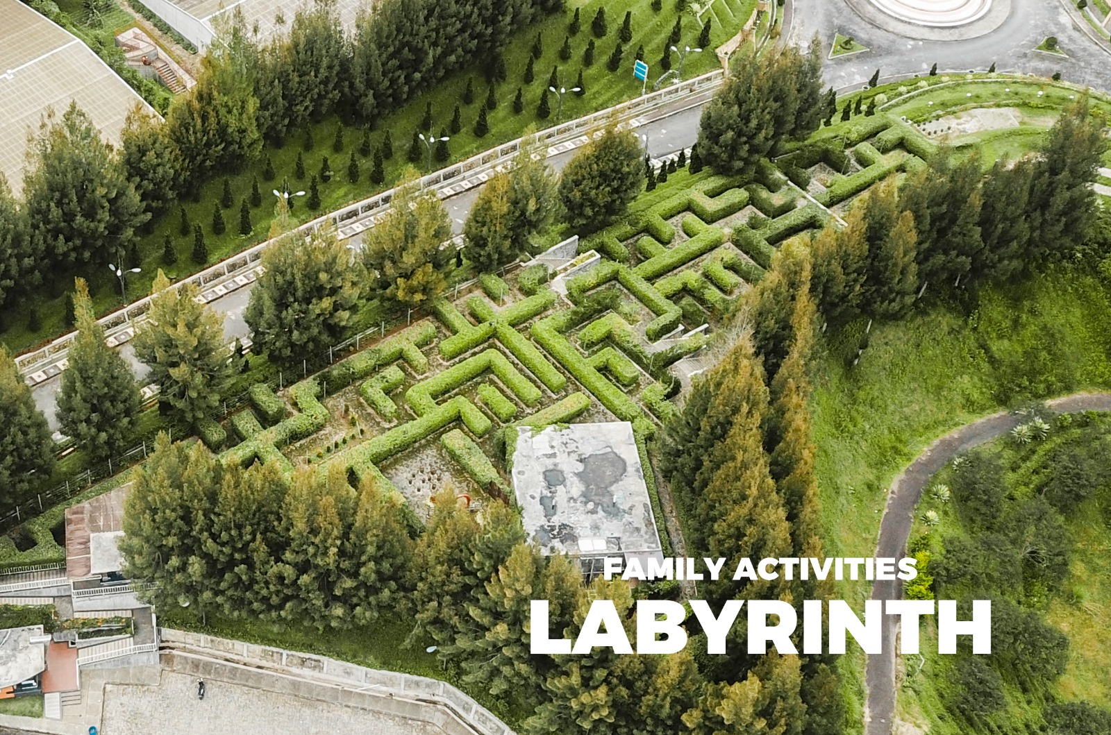 WhatsApp Image 2024-01-05 at 13.16.39 (4)