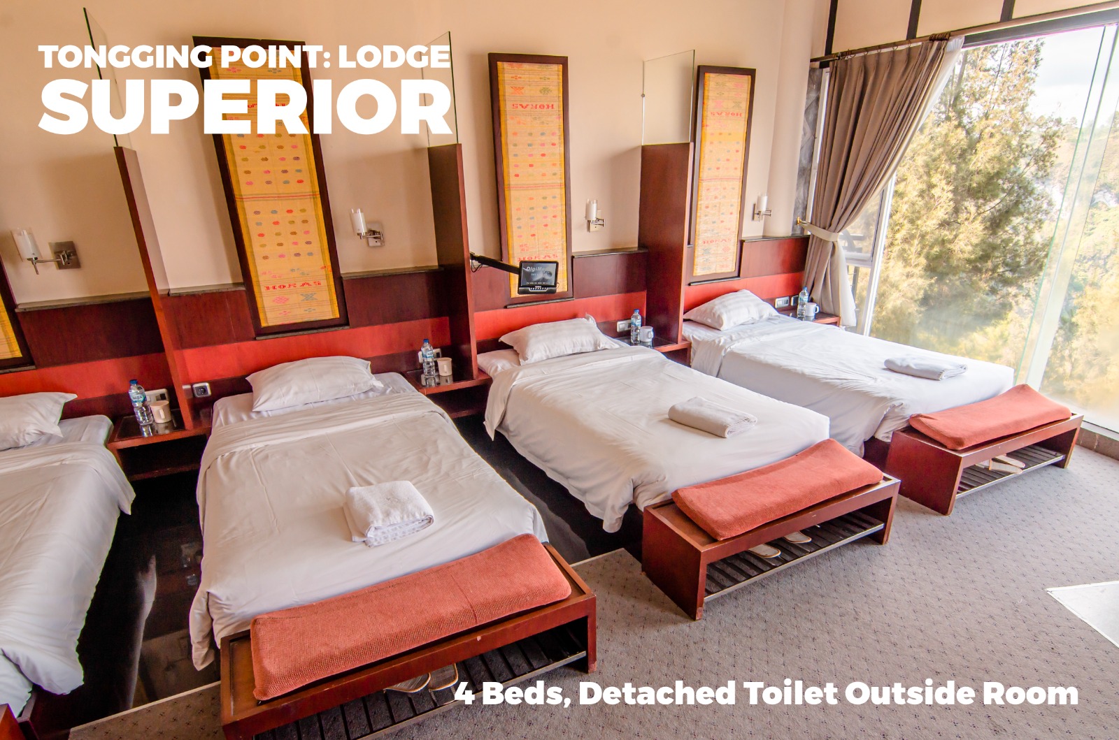 WhatsApp Image 2024-01-05 at 13.16.39